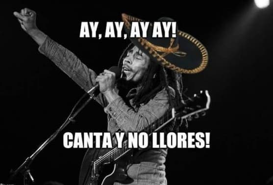 Internet se burla de la eliminación temprana sufrida por la Selección Mexicana de Fútbol y no es para menos. Estos son los mejores memes encontrados en las redes sociales.