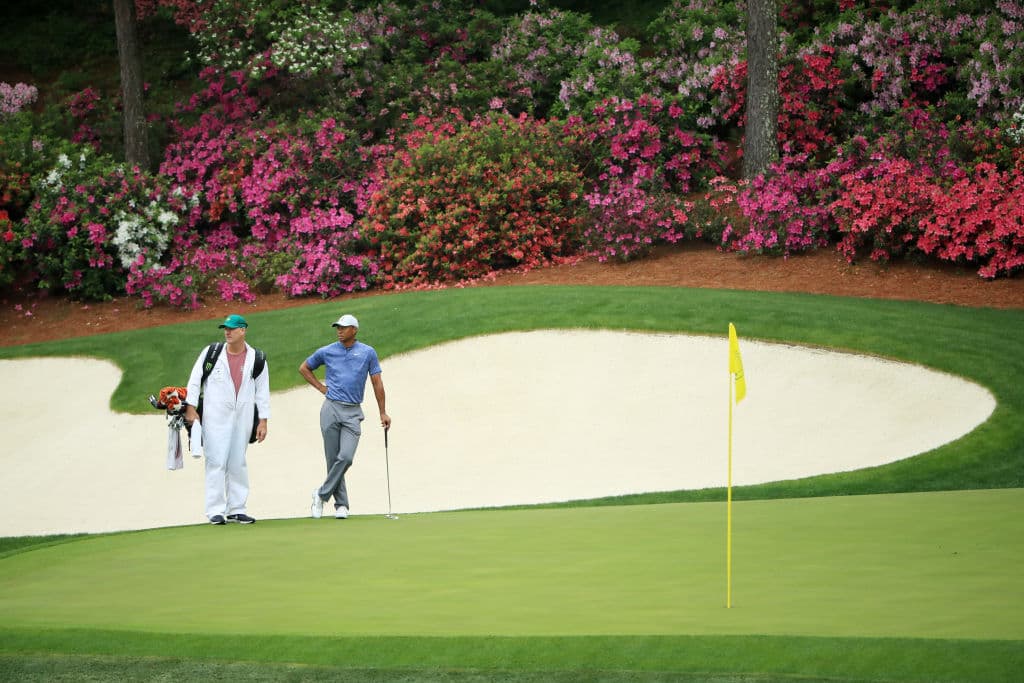 Mientras Tiger y su caddie echan un vistazo para saber cómo será su siguiente tiro, el esplendor de la primavera parece haber llegado completamente a Augusta National.