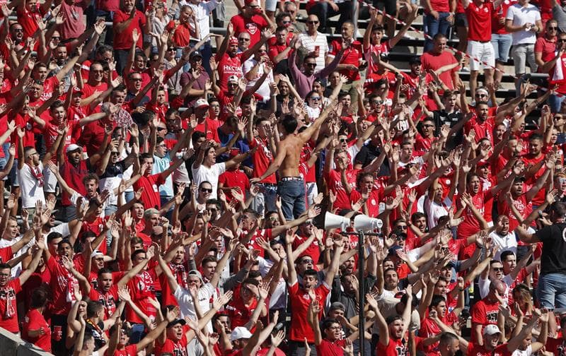 Los aficionados de
<i>Les Gators </i>montaron una gran fiesta en el Stade des Costières de Nimes.