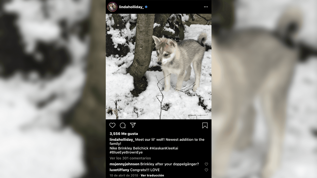 Desde abril de 2018, Belichick y Holliday adquirieron a su mascota que decidieron llamar ‘Nike’.