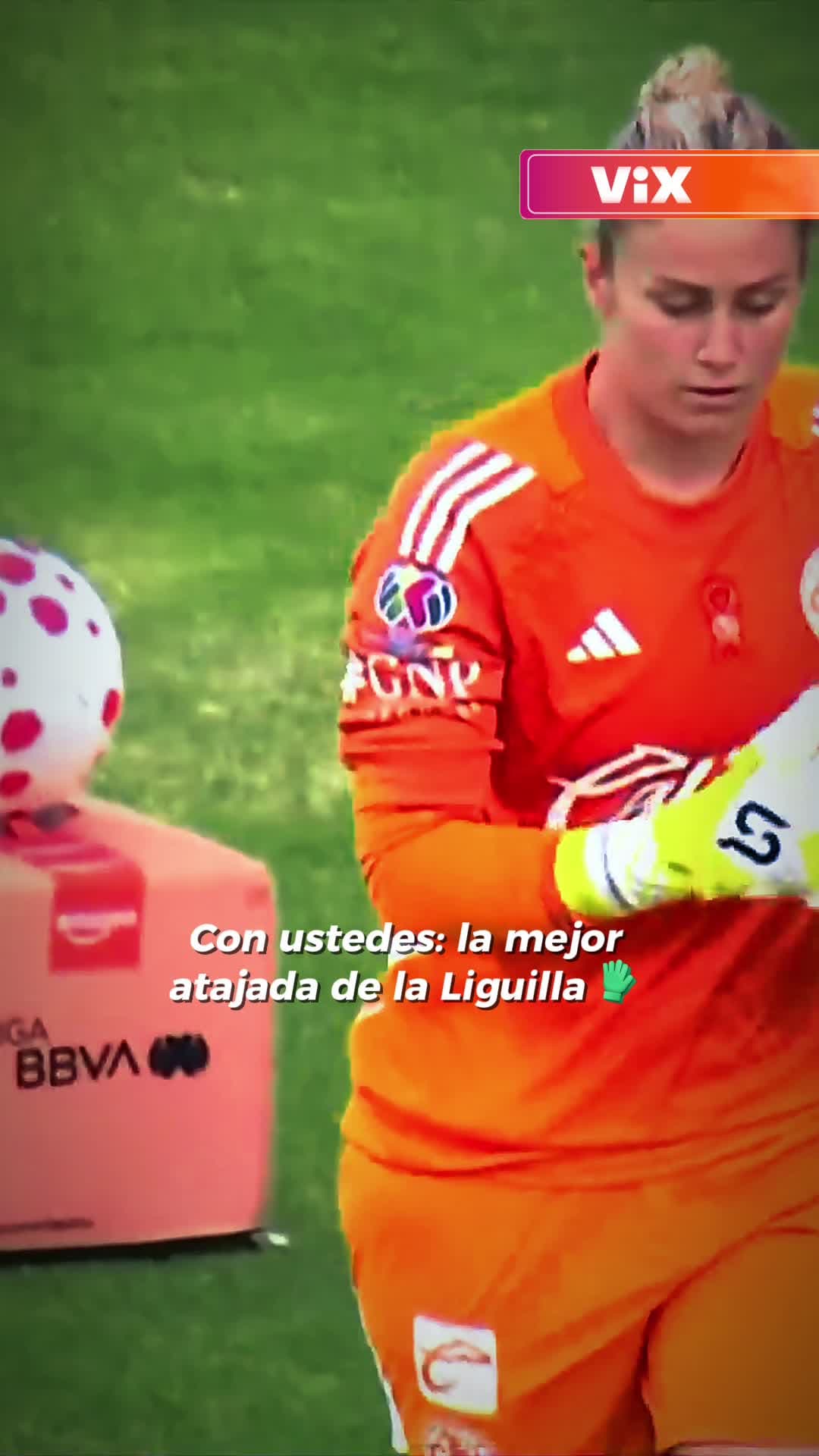 Atajada enferma de Paños