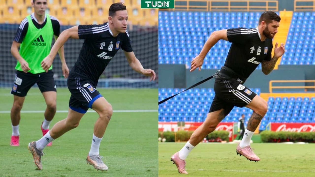 Gignac y Thauvin se perderán amistosos de Tigres
