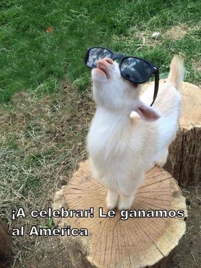 Chivas se llevó el clásico y las burlas para el América no se hicieron esperar en las redes sociales