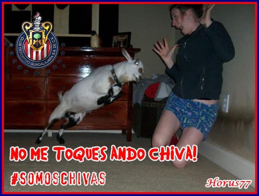 Chivas se llevó el clásico y las burlas para el América no se hicieron esperar en las redes sociales