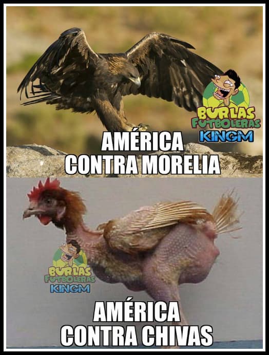 Chivas se llevó el clásico y las burlas para el América no se hicieron esperar en las redes sociales