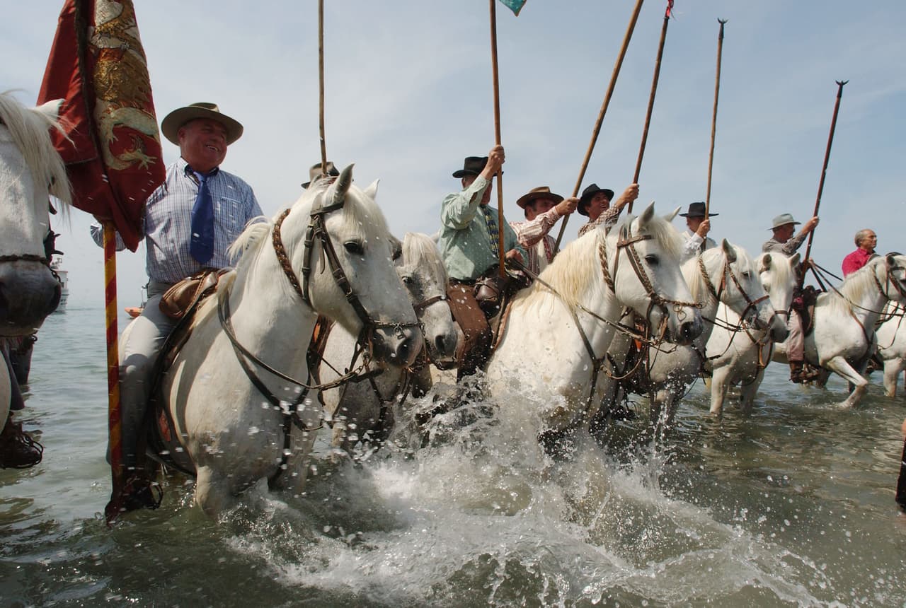 En Francia, los gitanos se hacen llamar 'Manouches' y preservan sus tradiciones, como la caza de ciervos y conejos.