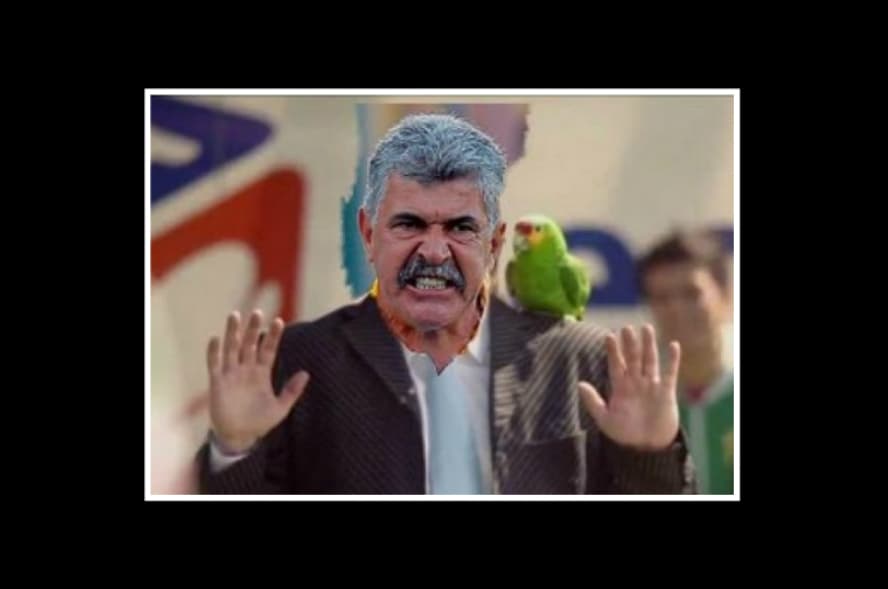 Tras la presentación de Ricardo Ferretti al frente de la Selección Mexicana de Fútbol, los memes del 'Tuca' no pudieron faltar en las redes sociales.