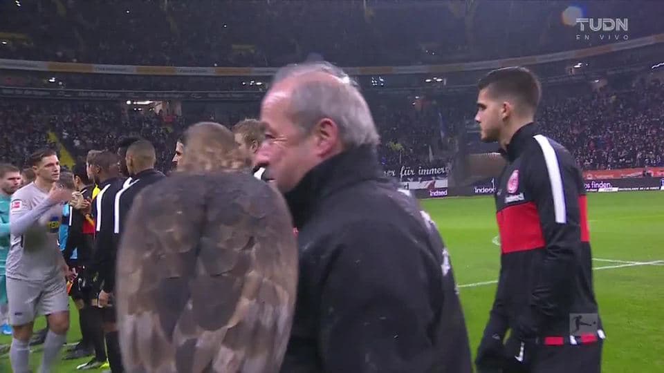 Se acabó el juego. El árbitro dio el silbatazo final.