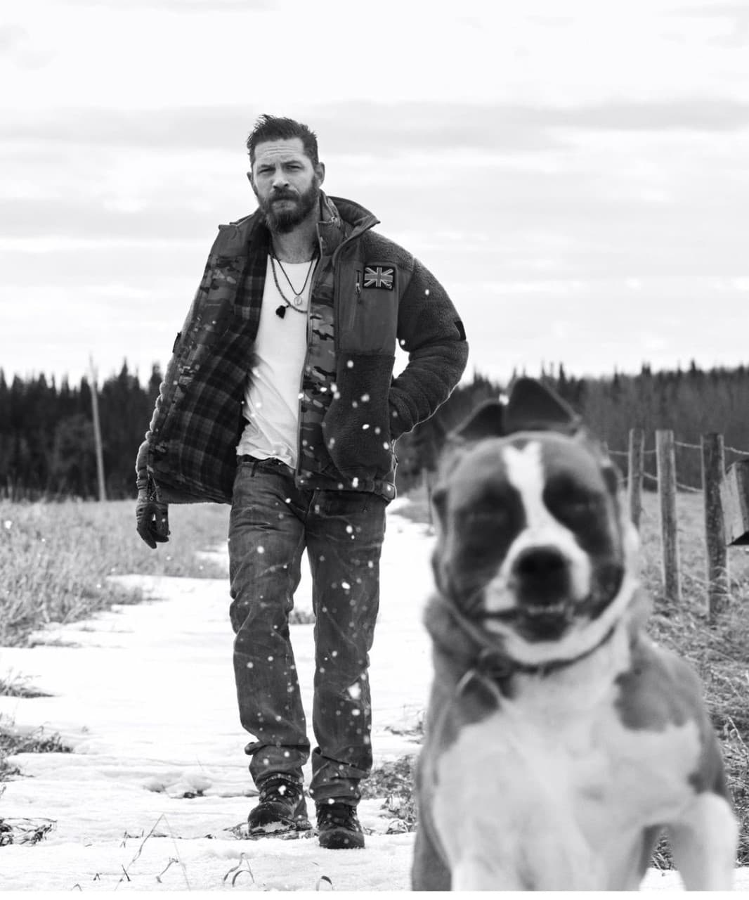 Incluso se ha estado hablando sobre una serie de Wolverine para su plataforma de streaming.
<br>