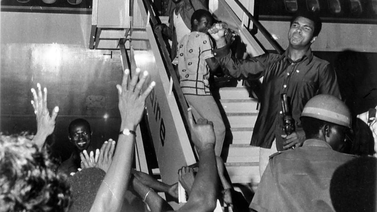 "Bienvenidos al aeropuerto Muhammad Ali"