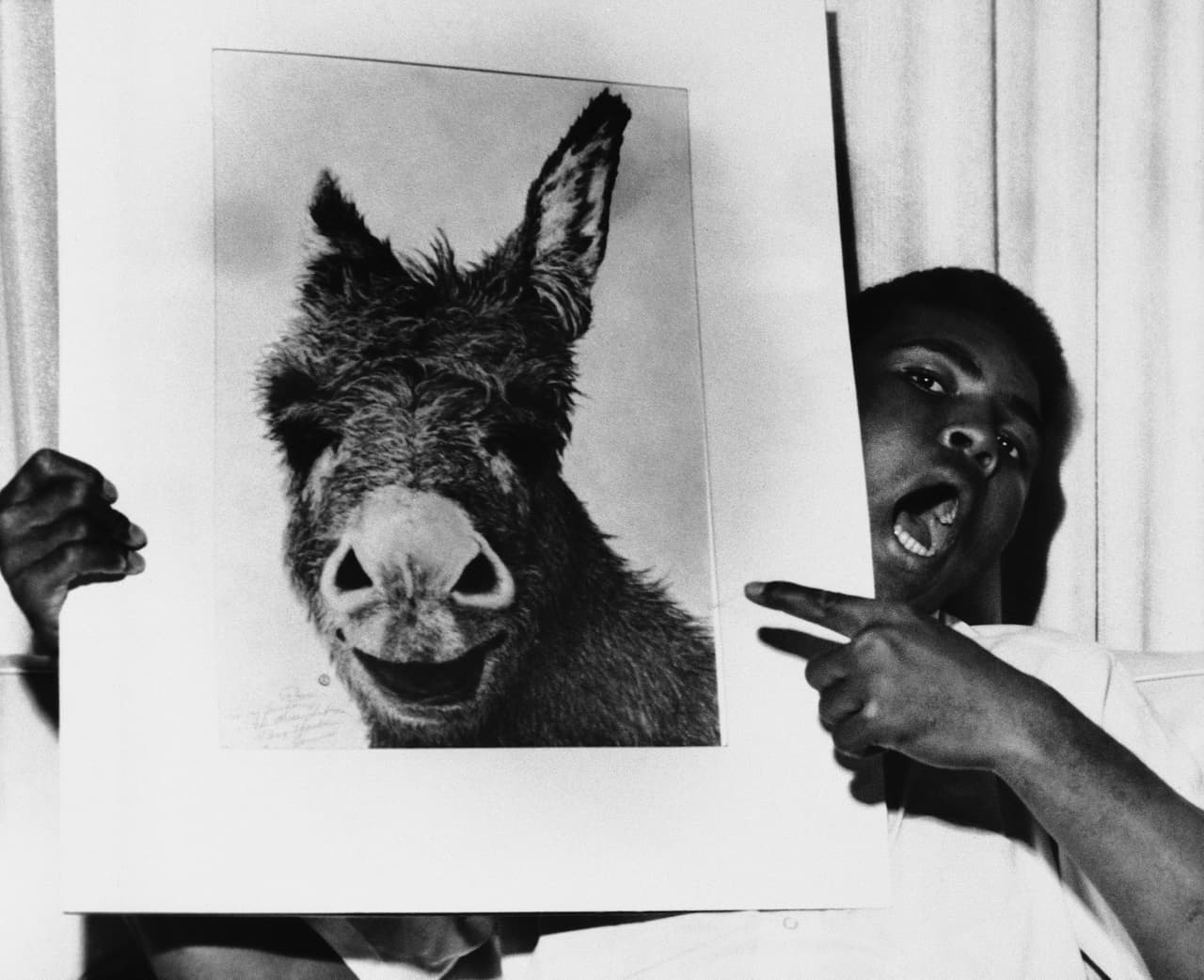 Sin embargo, Ali, con el desparpajo propio de sus 23 años de edad, venía con la confianza que le daban 19 victorias y ninguna derrota como profesional.