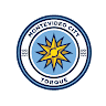 Torque