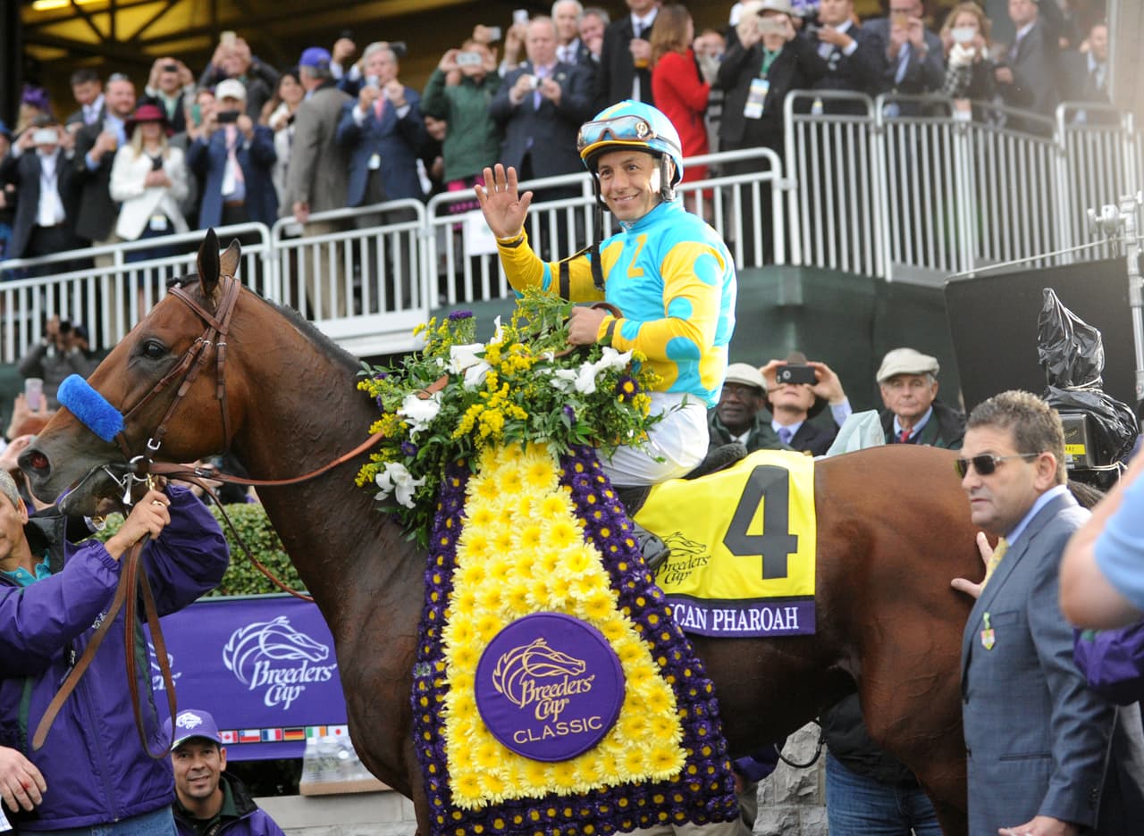 Se le dio un caballo para prepararlo y tan buen trabajo hizo que le dieron un billete de cien dólares, cuando se pagaban sólo diez por esa labor de entrenamiento. Sabía que estaba en donde debía estar su pasión y aprovechó todo lo que pudo.