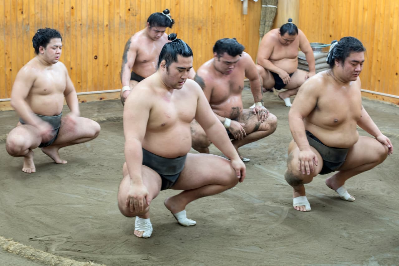 Sumo