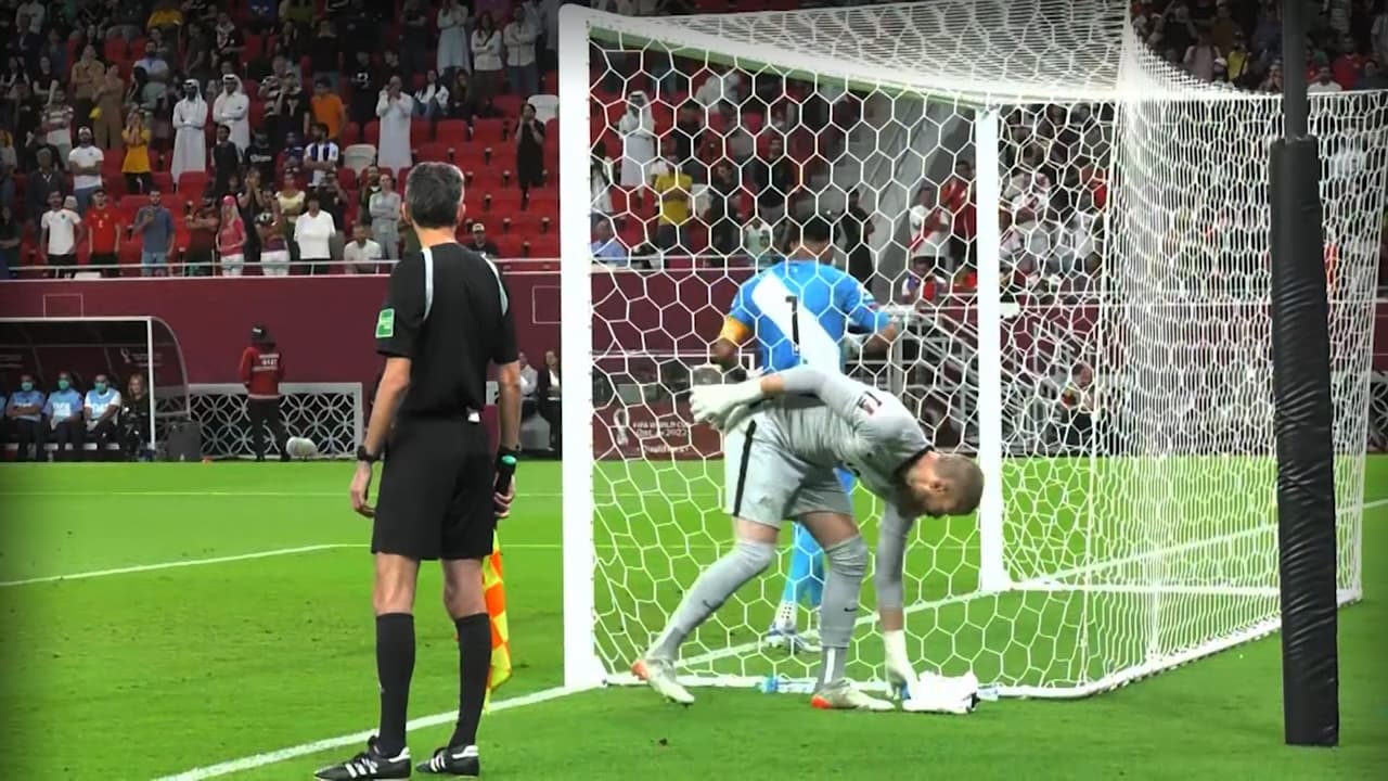 ¡Así eliminó a Perú! Portero de Asutralia roba acordeón a Gallese