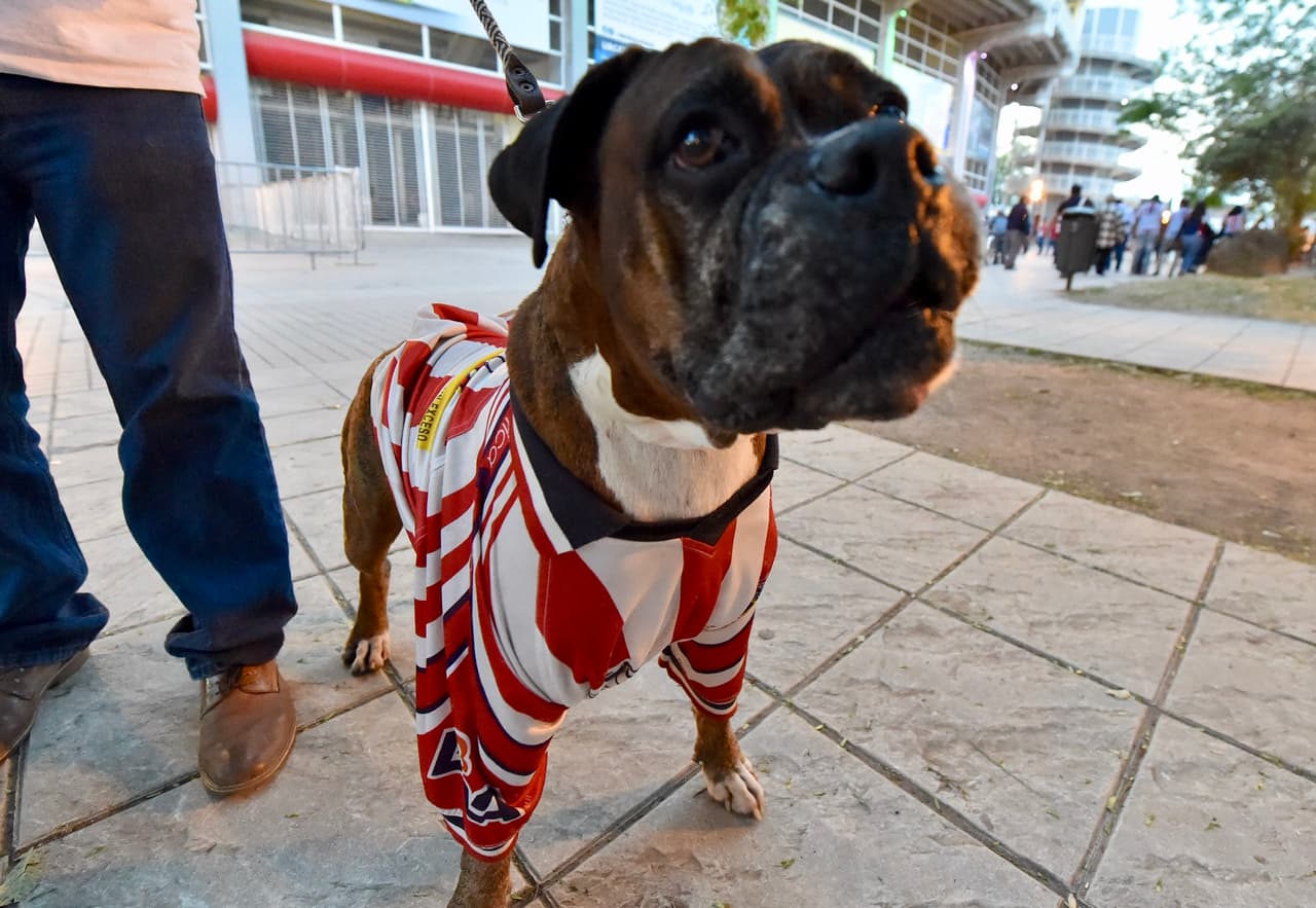 Una mascota con los colores de Chivas hizo parte del color previo al partido.