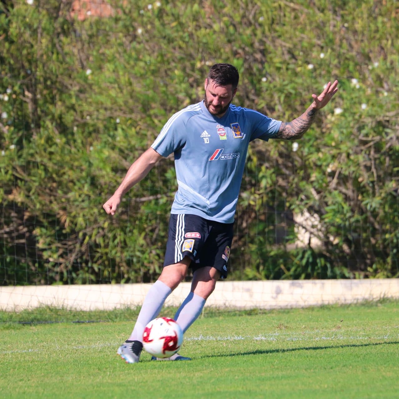 El regreso del futbol mexicano está cada vez más cerca y los jugadores de todos los clubes ya se presentaron a entrenar.