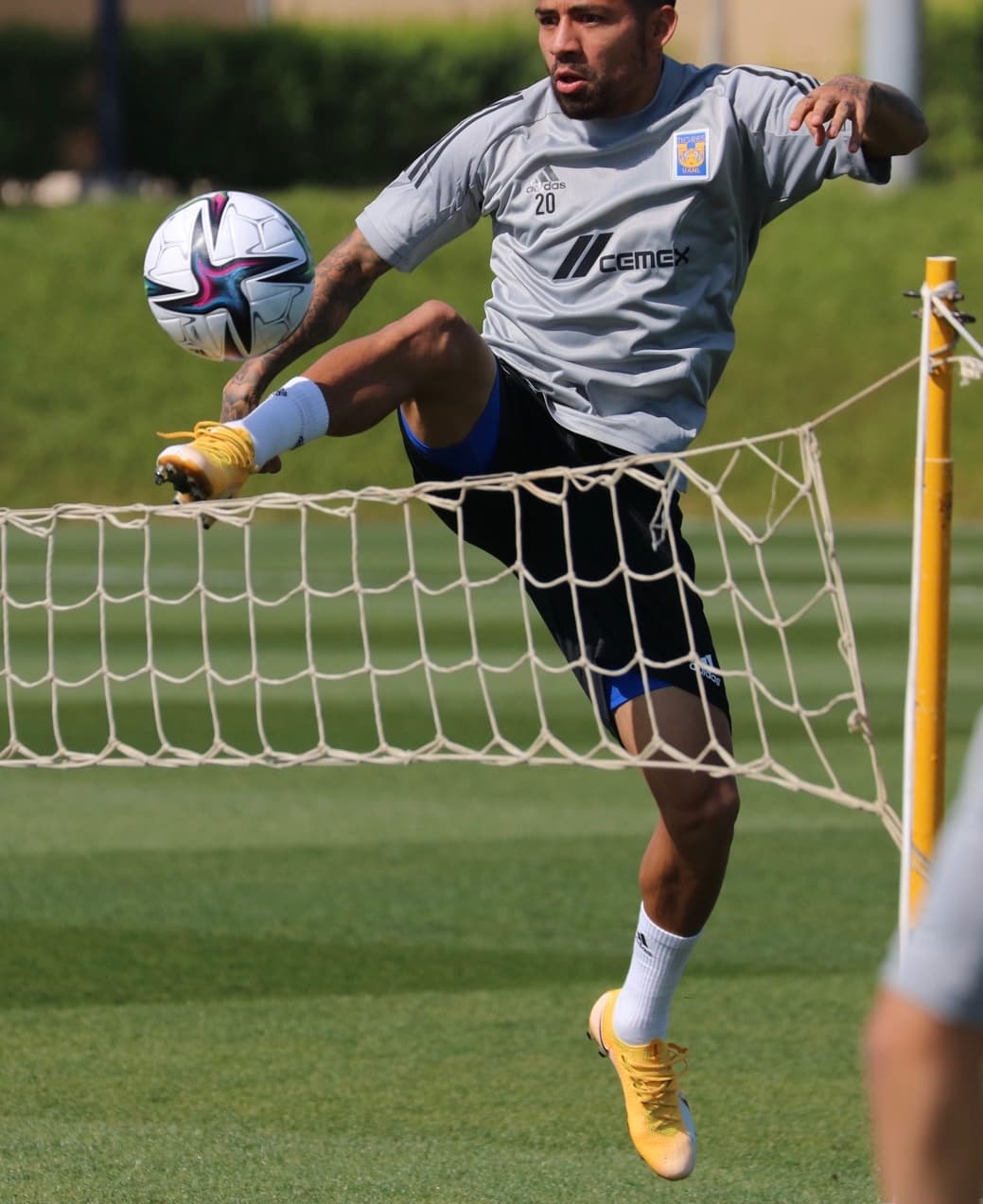 El conjunto felino, representante de la Concacaf, lució relajado y en forma para medirse al Ulsan Hyundai en el Al Rayyan Stadium. El timonel de la UANL confía en que Gignac pueda jugar, mientras que Carlos González aún está en duda por lesión.