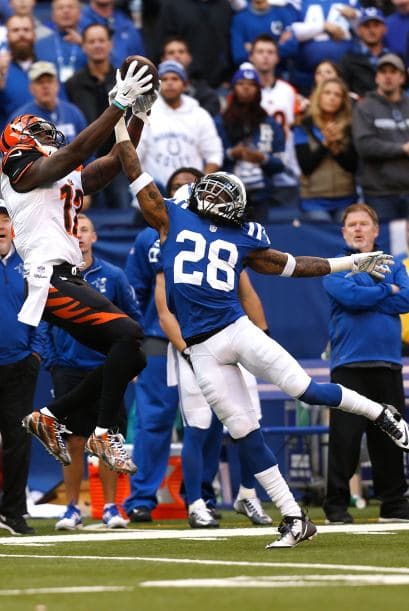 La defensa de los Indianapolis Colts envió un poderoso mensaje: también pueden vencer a los mejores, al derrotar a los Bengals 27-0.