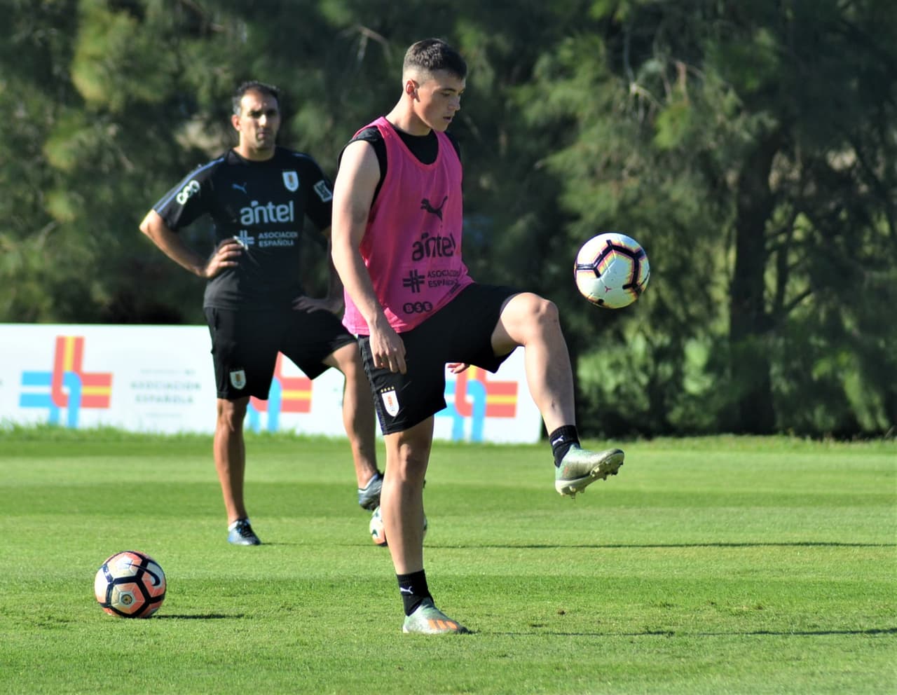 Viñas cuenta cómo le ha cambiado la vida en seis meses: "Todo ha sido muy rápido"