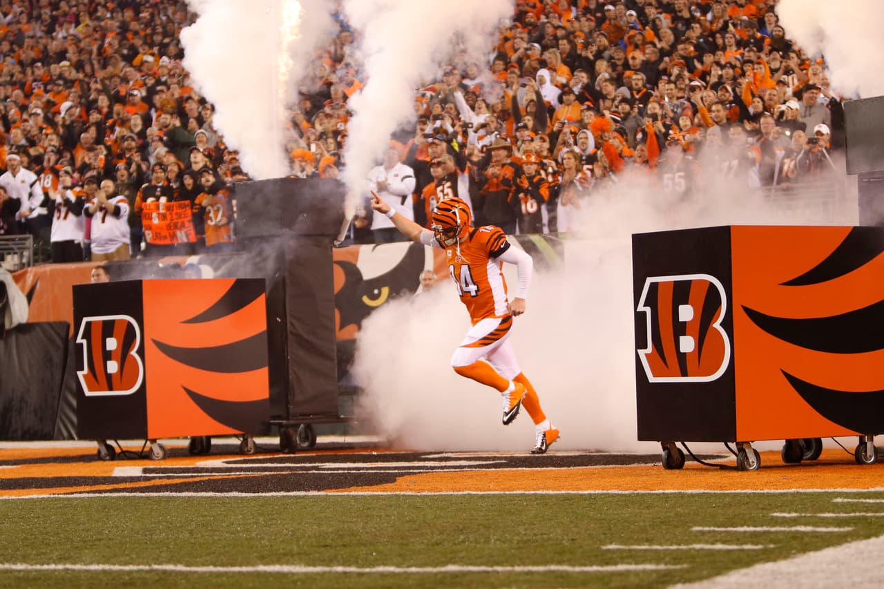 Los Bengals perdieron el invicto en casa ante los Texans por 10-6, checa las mejores tomas de este duelo.