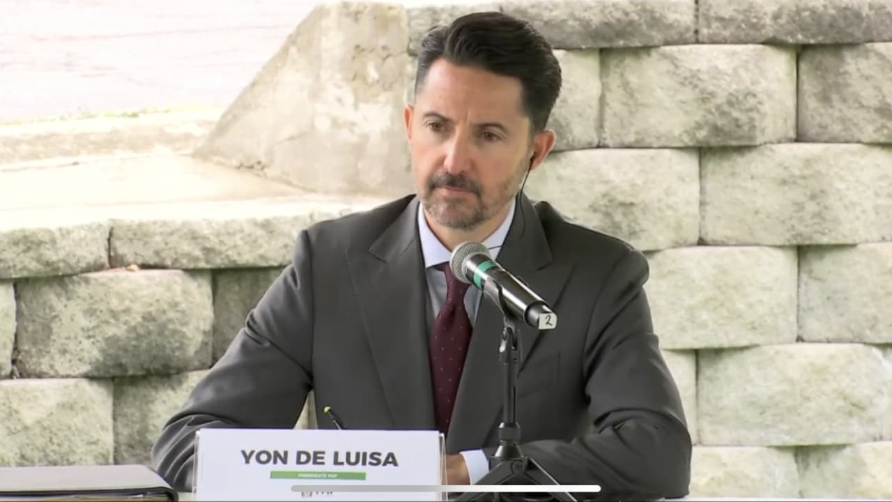 De Luisa: "Si no para el 'eehh pu...', el daño sería devastador"