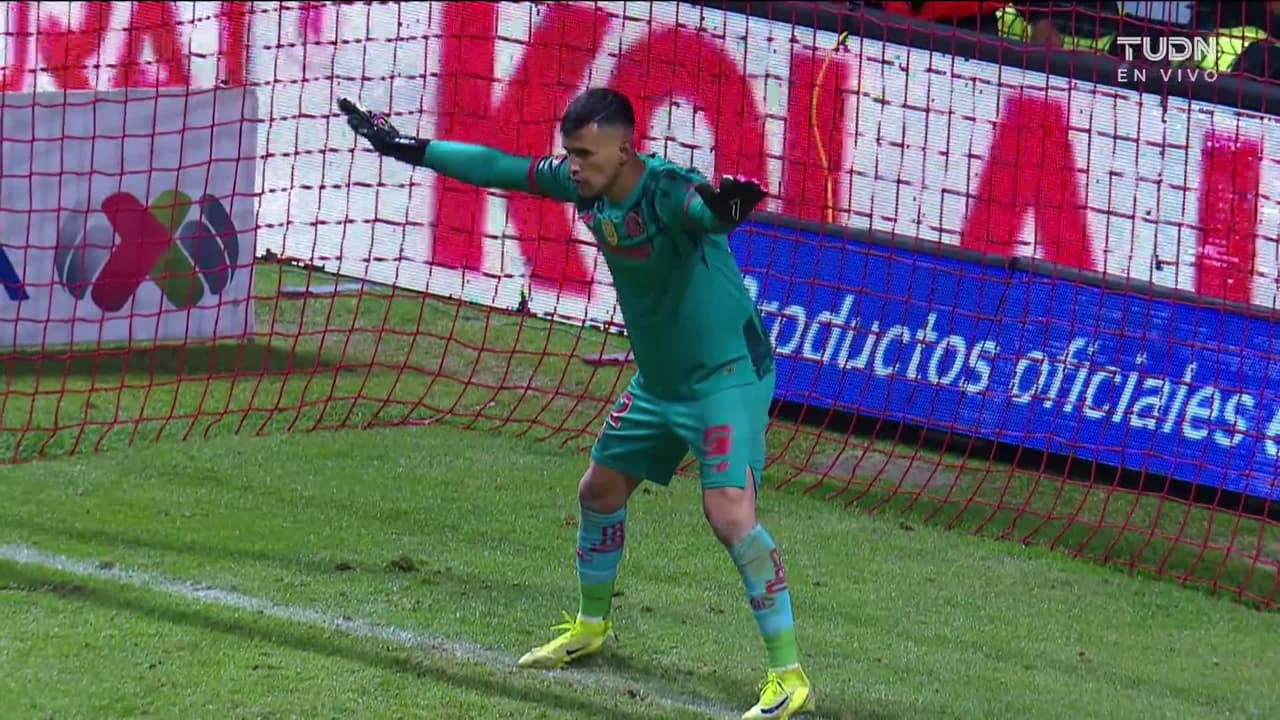 ¡GOL!  anota para Tigres. Fernando Gorriarán