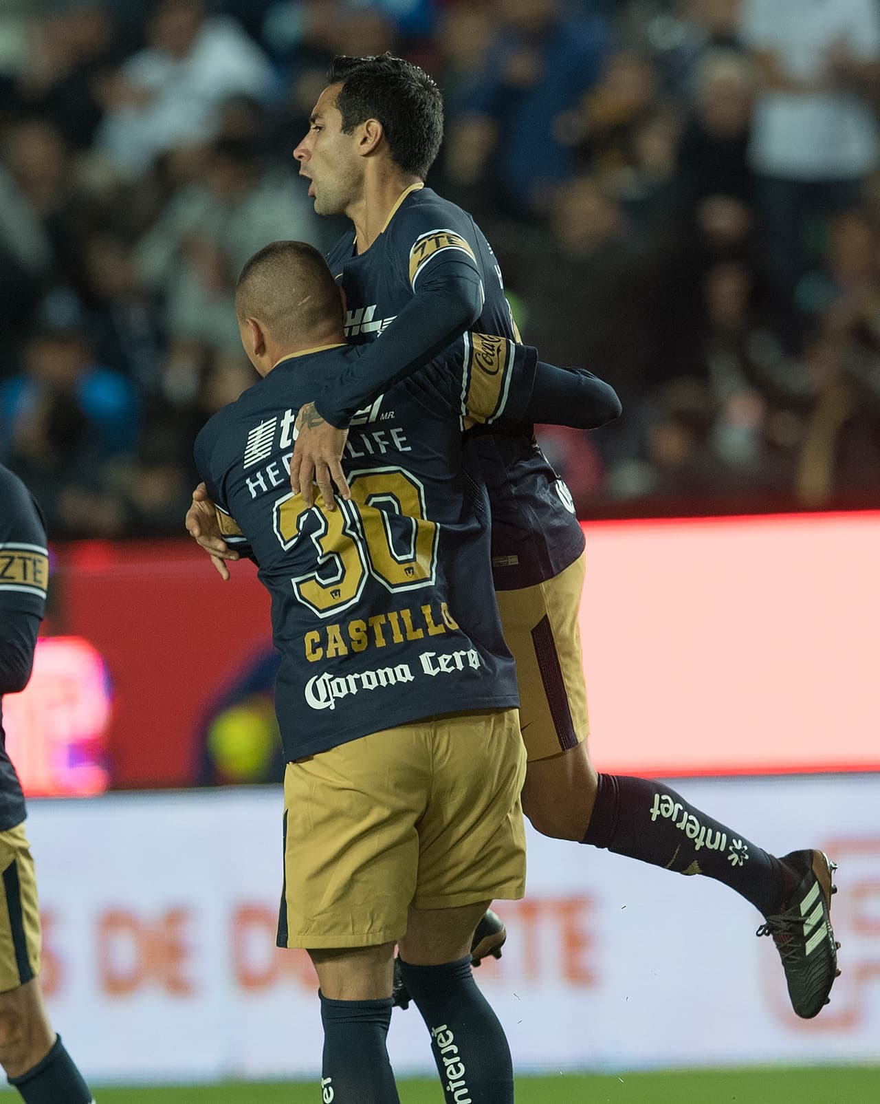 Los Pumas dieron un gran partido. Le debían a la afición una victoria como la que se vivió hoy.