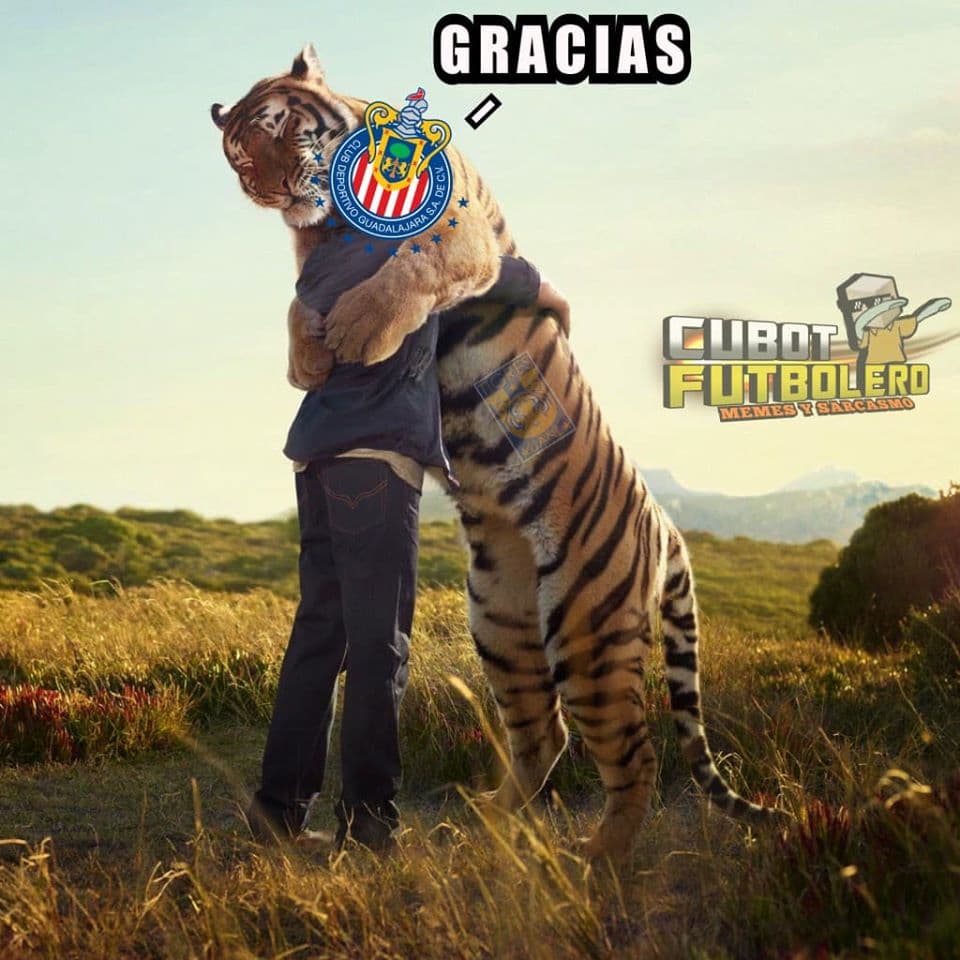 La Liguilla está en proceso pero los memes todavía recuerdan con cariño a rojiblancos y celestes.