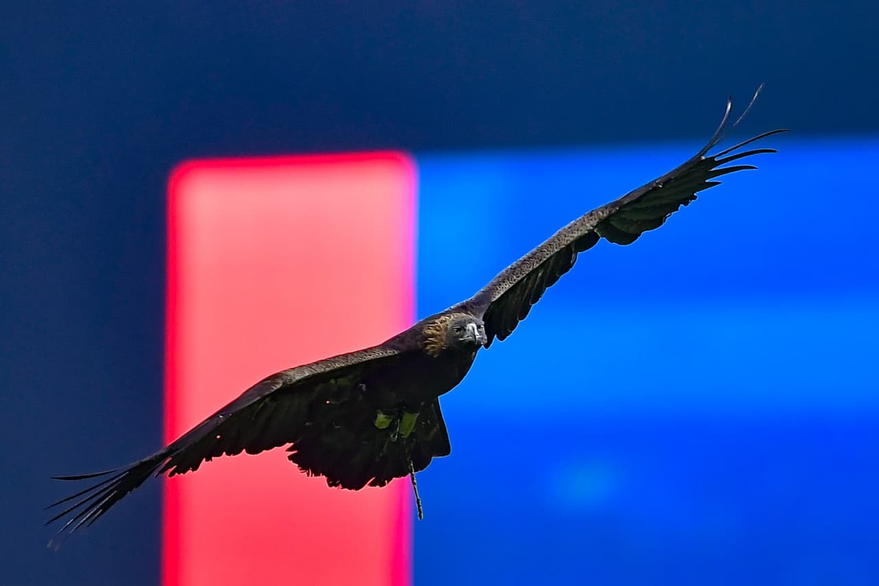 Tigres se acerca al título del Apertura 2022 de la Liga MX Femenil con su triunfo 1-0 sobre América en la Final de Ida.