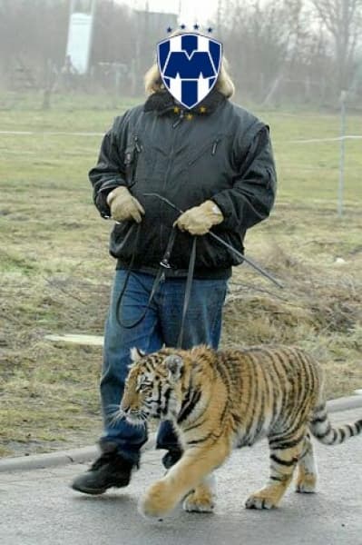 Memes de la jornada 9 del Clausura 2016