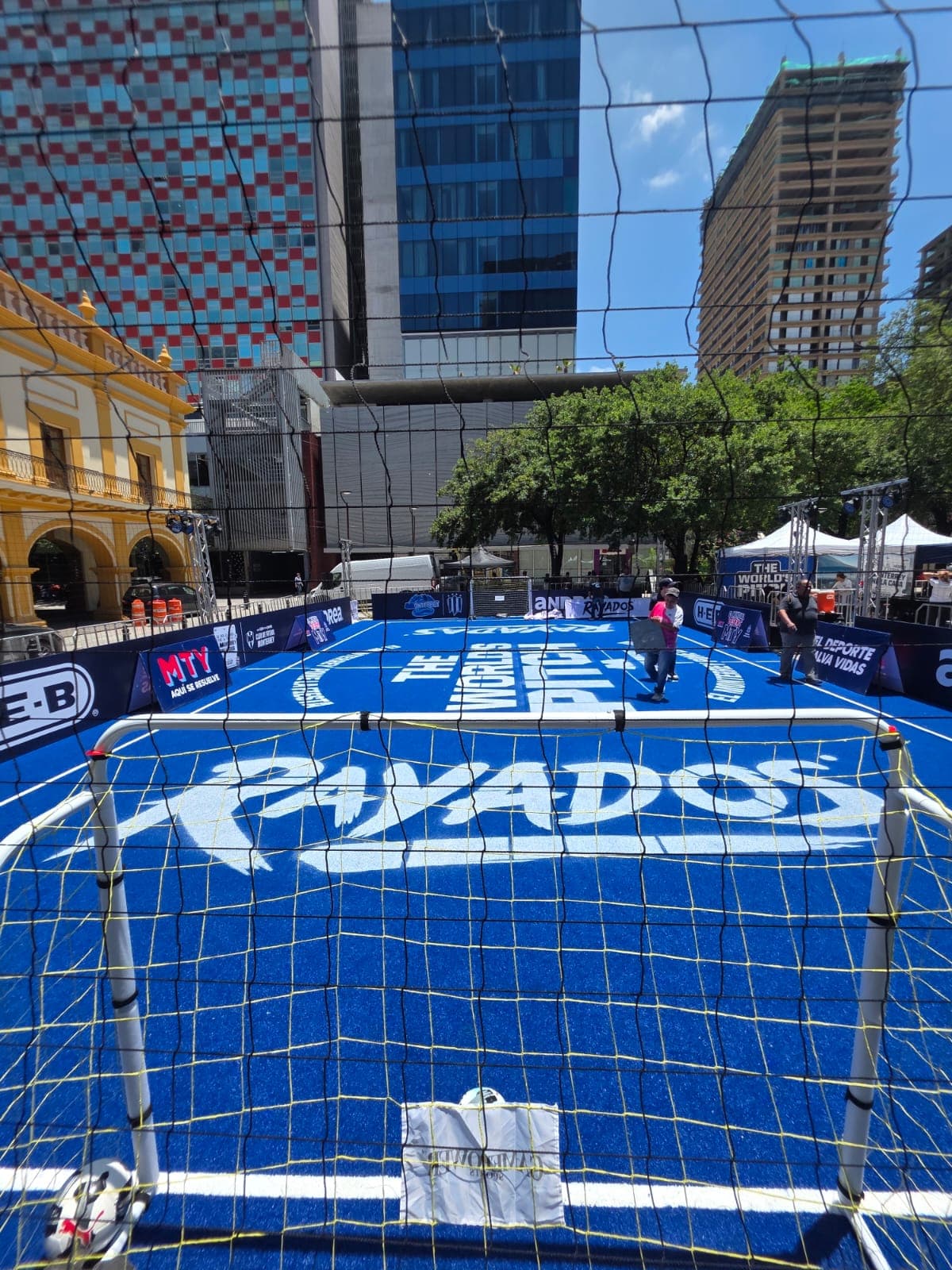 Rayados, The world pitch