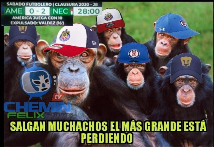 Esto fue lo más divertido de la pasada Fecha 8 en el futbol mexicano ¡Están para verlos una y otra vez!