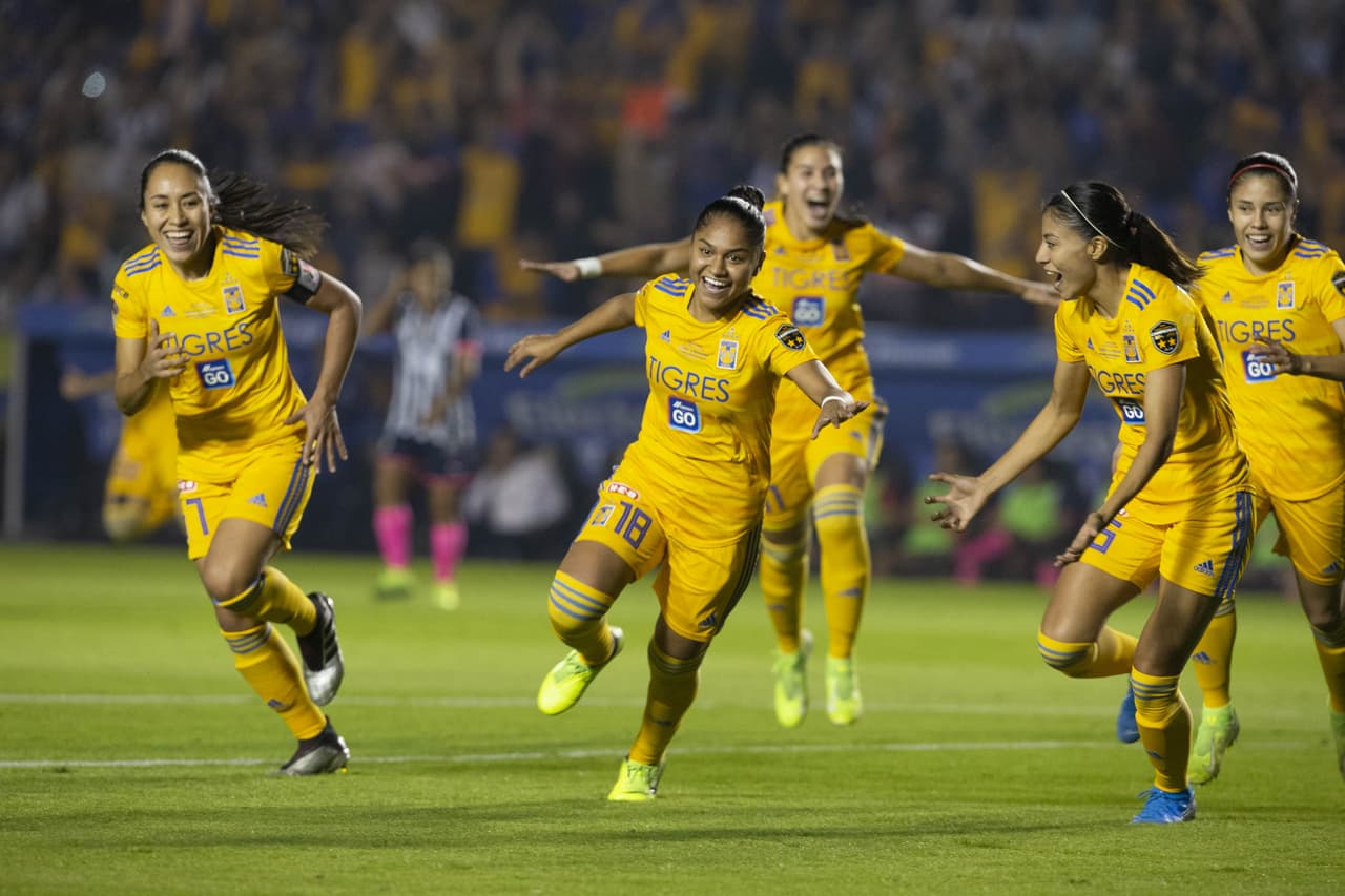 Tigres terminaron en segundo lugar de la tabla con 43 puntos, 13 victorias, cuatro empates y una derrota.