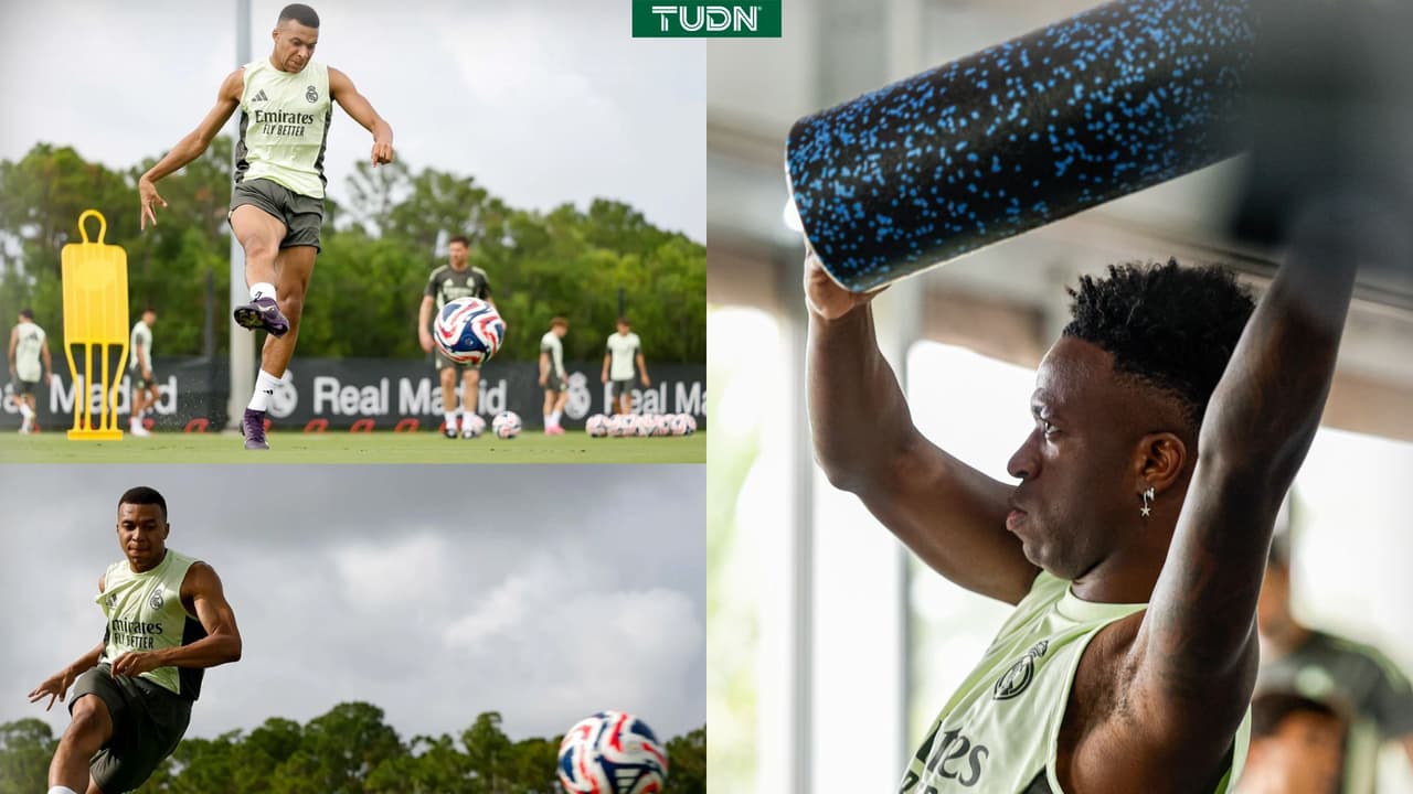 Se acerca el regreso de Donatello Merengue 