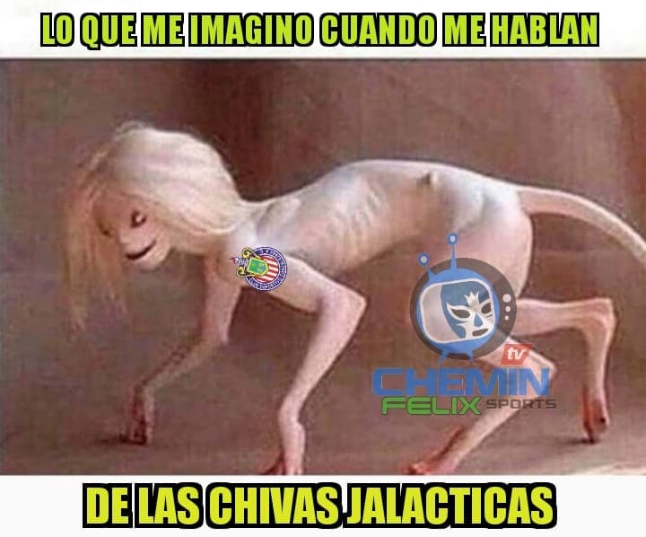 Las Chivas de Guadalajara ahora se roban lo más divertido de la Fecha 5 luego de una goleada ante Tigres.