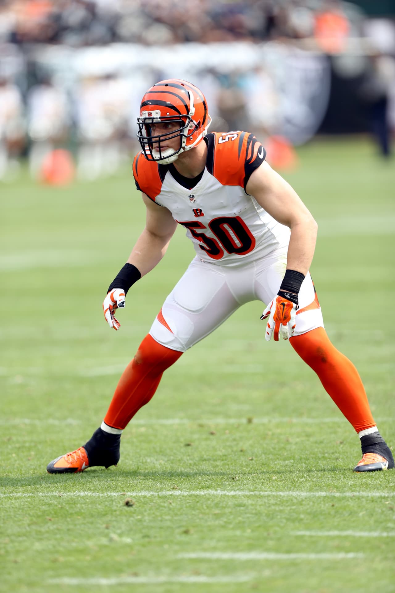 Cincinnati Bengals linebacker A.J. Hawk (50) pursues the ball carrier during a NFL football game against the Oakland Raiders, Sunday, September 13, 2015 in Oakland. The Bengals won the game 33-13. (Paul Jasienski via AP)