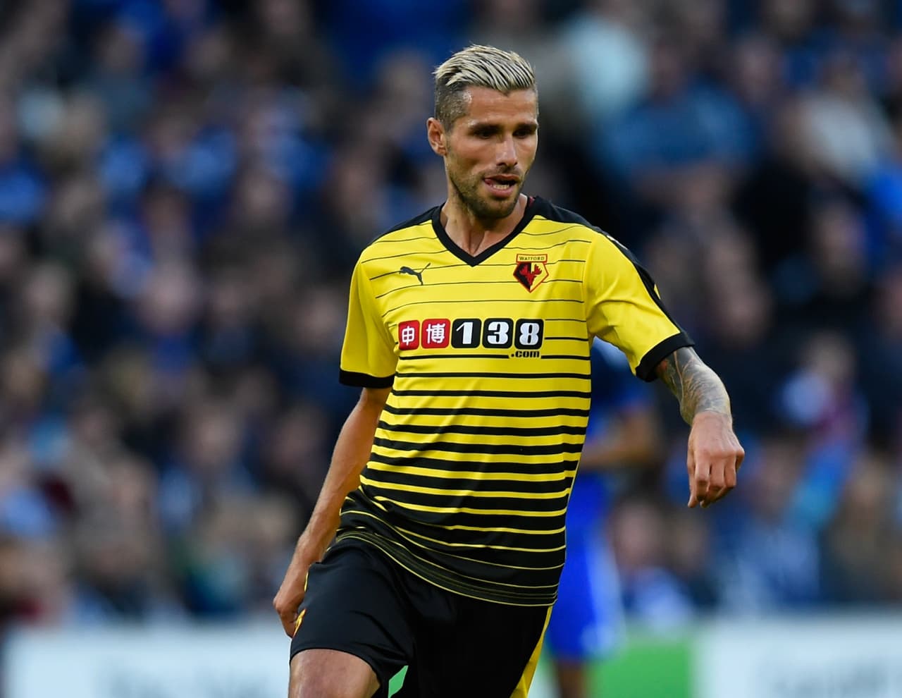 Otro que vuelve a primera es el Watford, el conjunto amarillo y negro compró a jugadores como José Holebas, Valon Behrami y Steven Berghuis quienes se suman a futbolistas como Miguel Layún, Troy Deeney y Juan Carlos Paredes.