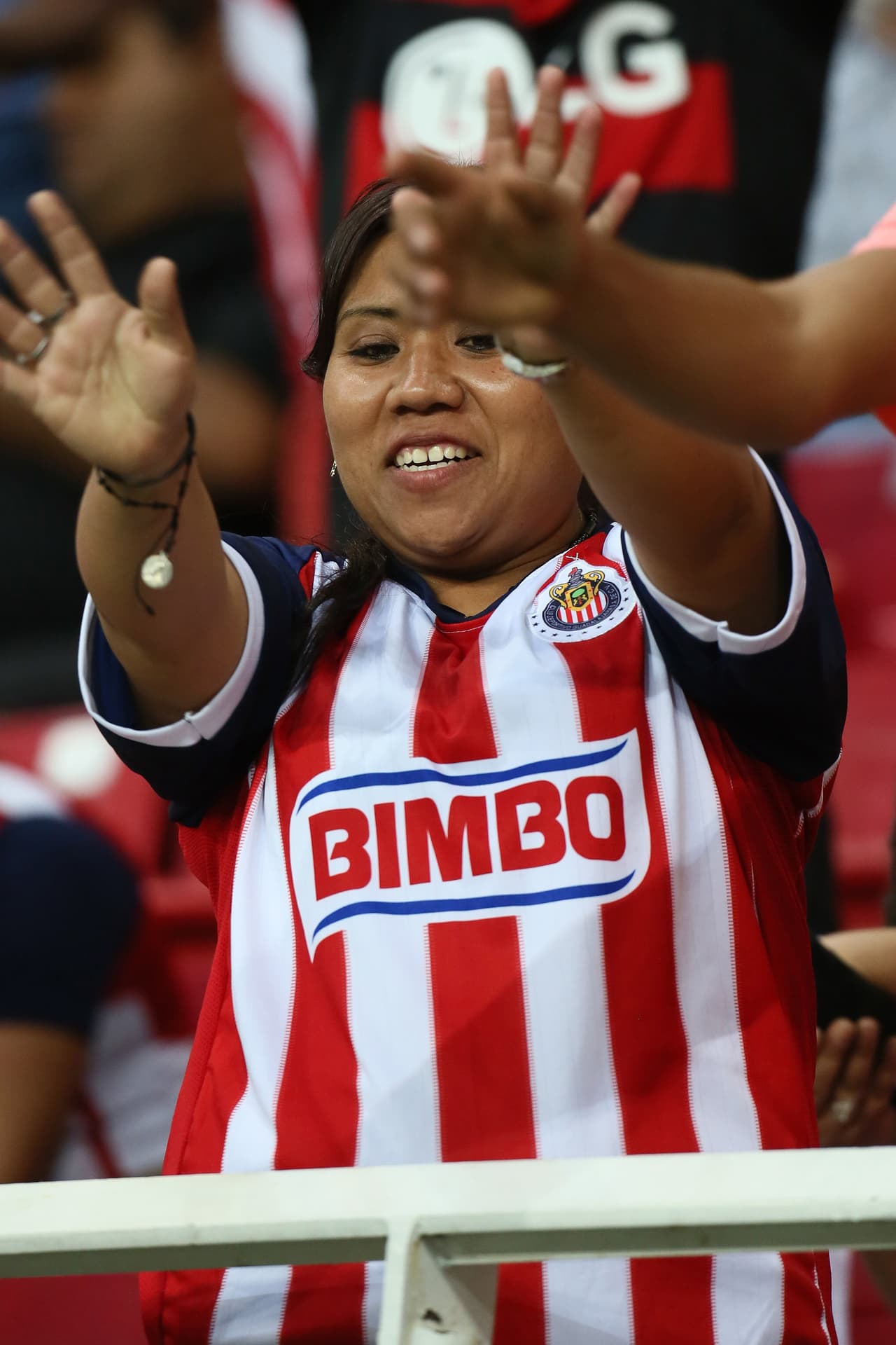 Mejor fan j 14 apertura 2016