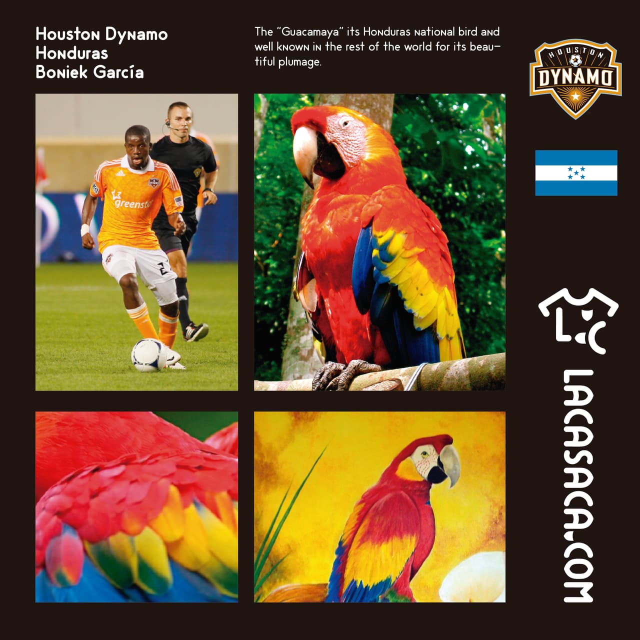 HOUSTON DYNAMO | La guacamaya roja es el ave nacional de Honduras, y como Boniek García es uno de los máximos exponentes del club naranja, aquí viene la casaca del Dynamo.