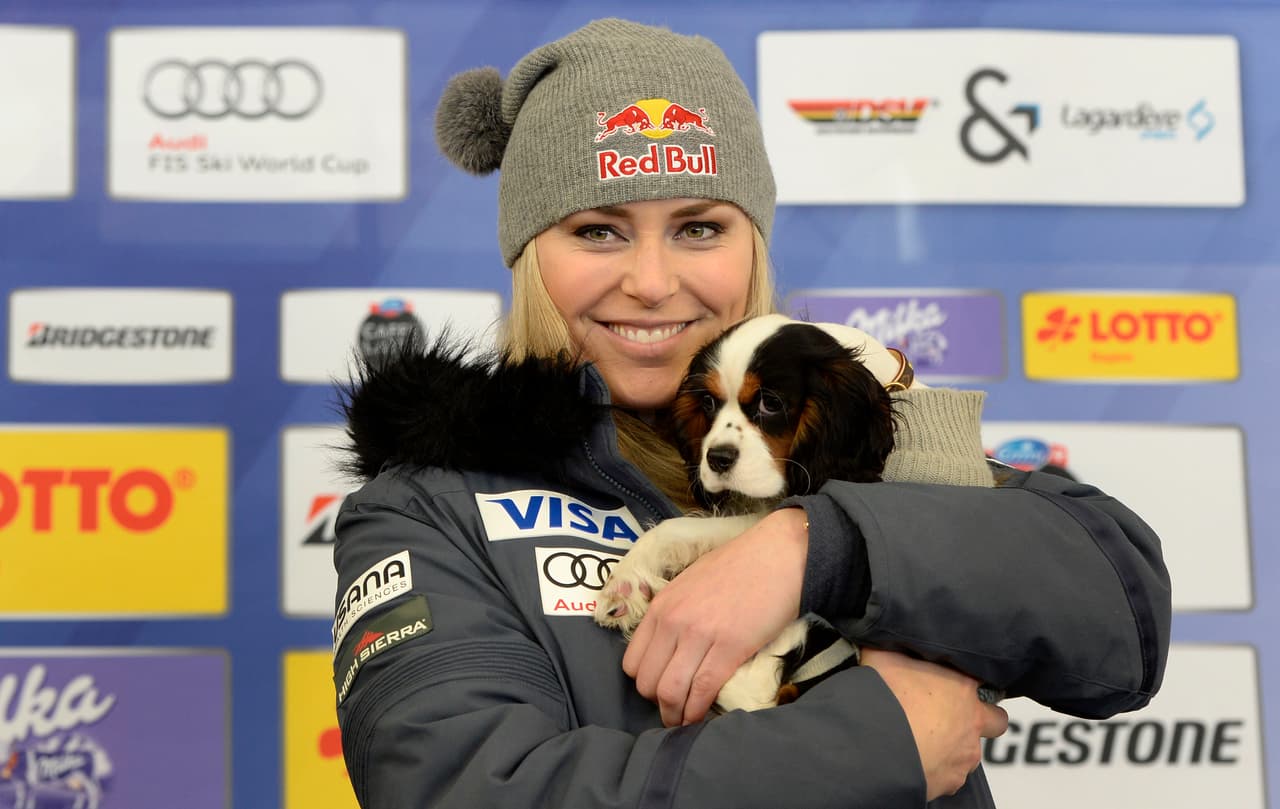 'Lucie' es la hermosa cachorrita San Bernardo de la esquiadora estadounidense 
<b>LINDSEY VONN.</b>