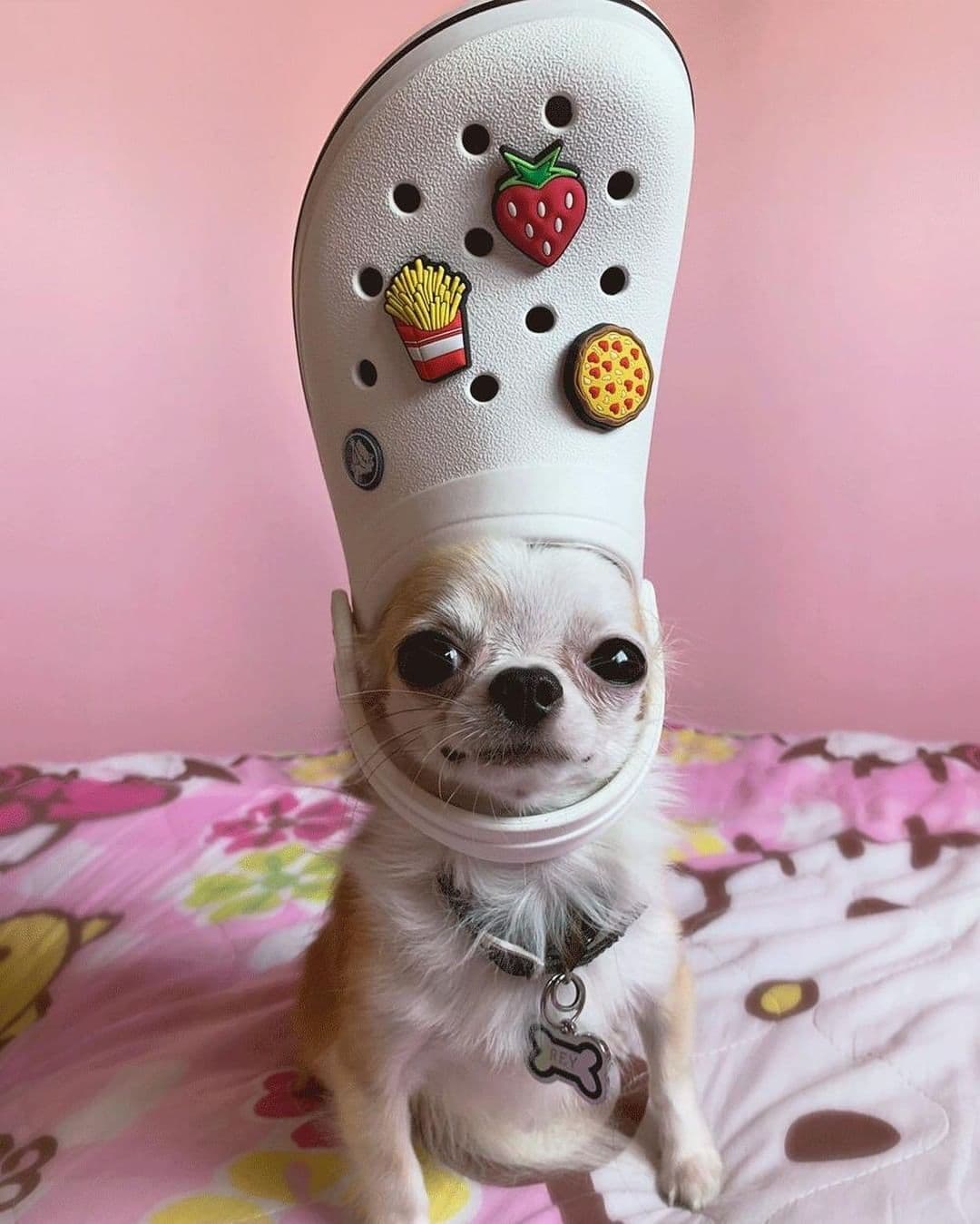 En 2020, Crocs experimentó un gran resurgimiento en la industria y el estilo de las celebridades.