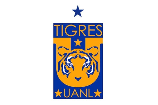 Tigres Campeón