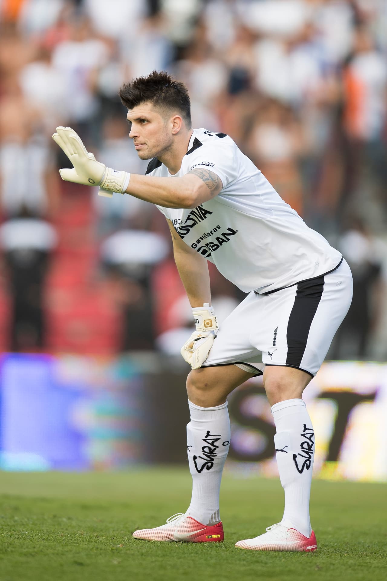 Tiago Volpi tuvo un día muy tranquilo en el arco de los Gallos Blancos.