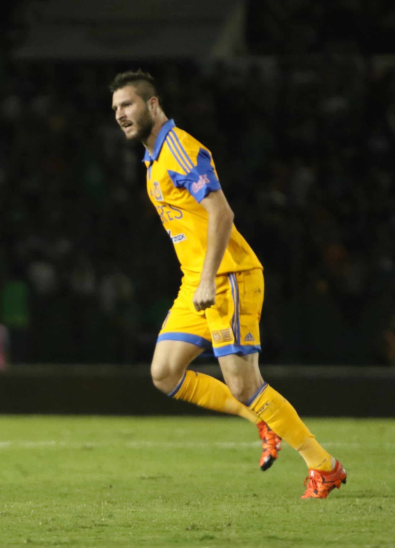 No hay duda de que Gignac es el hombre diferente en Tigres. Lo ha demostrado pero surge la pregunta, cuando se vaya ¿Quién será su reemplazante?