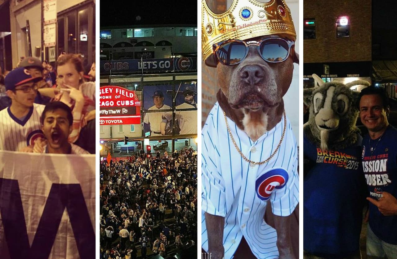 Fanáticos de los Cubs demostraron su pasión por el equipo y compartieron sus fotos festejando el triunfo ante los Piratas en las redes sociales. Mira esta galería.
