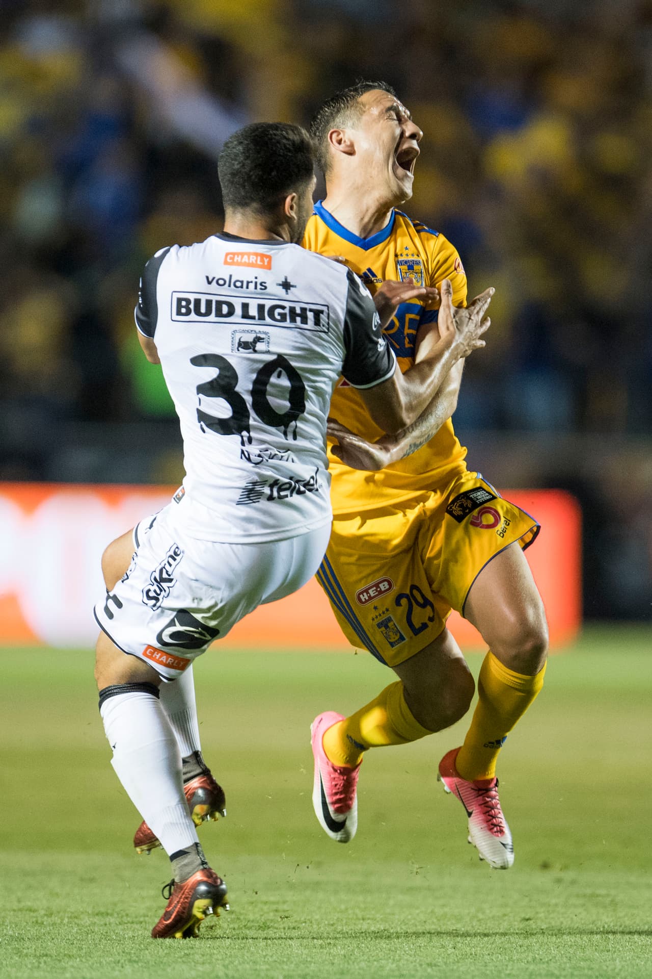 Tijuana recibirá la visita de Morelia en la Jornada 12 del Clausura 2018.