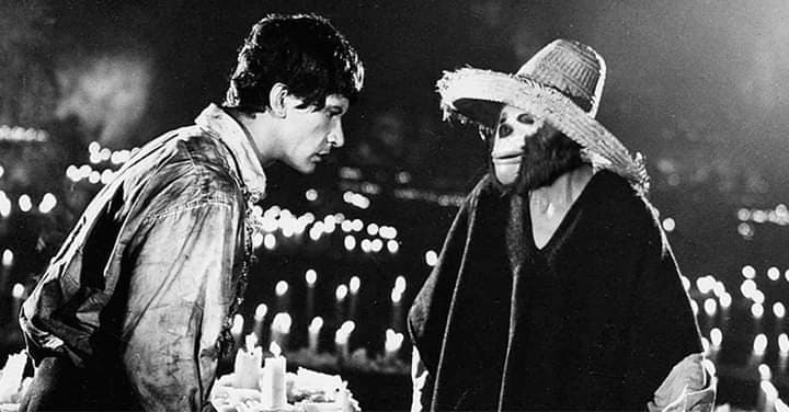 El pequeño gran luchador del CMLL se ha vuelto famoso en redes sociales.