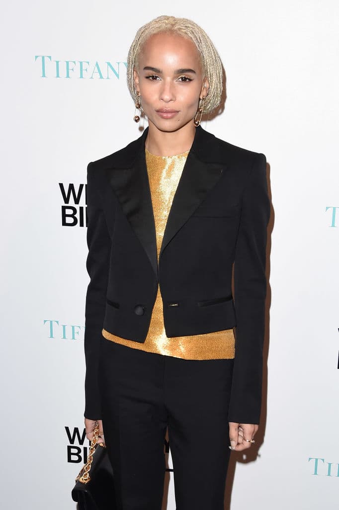 Kravitz tomó clases de actuación en el Conservatorio de Artes Teatrales de la Universidad de Purchase en Nueva York.