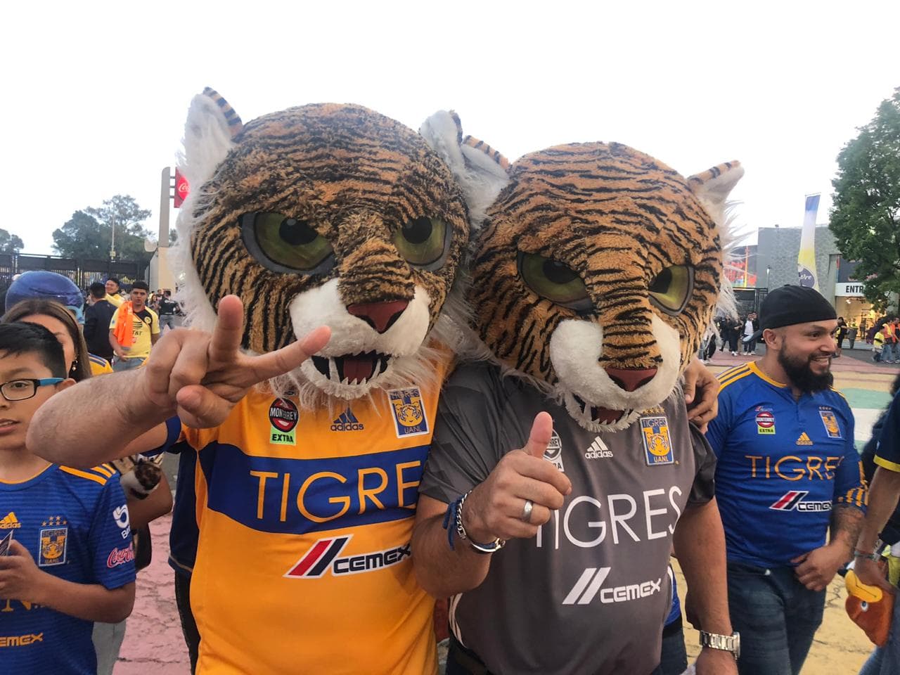 De esta particular forma los fanáticos muestran su amor por Tigres en la antesala del juego contra América en el Estadio Azteca.